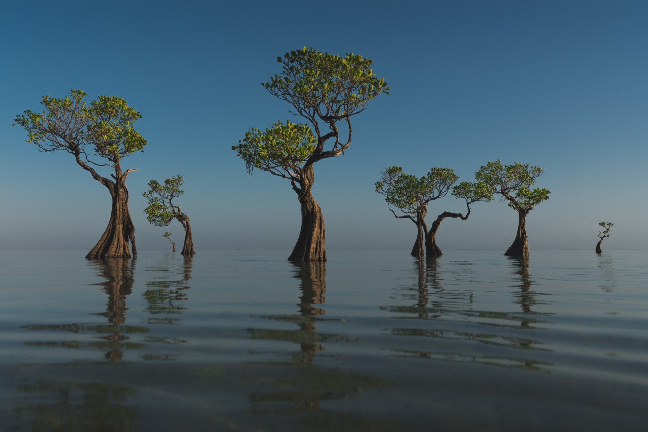 Plage de Walakiri