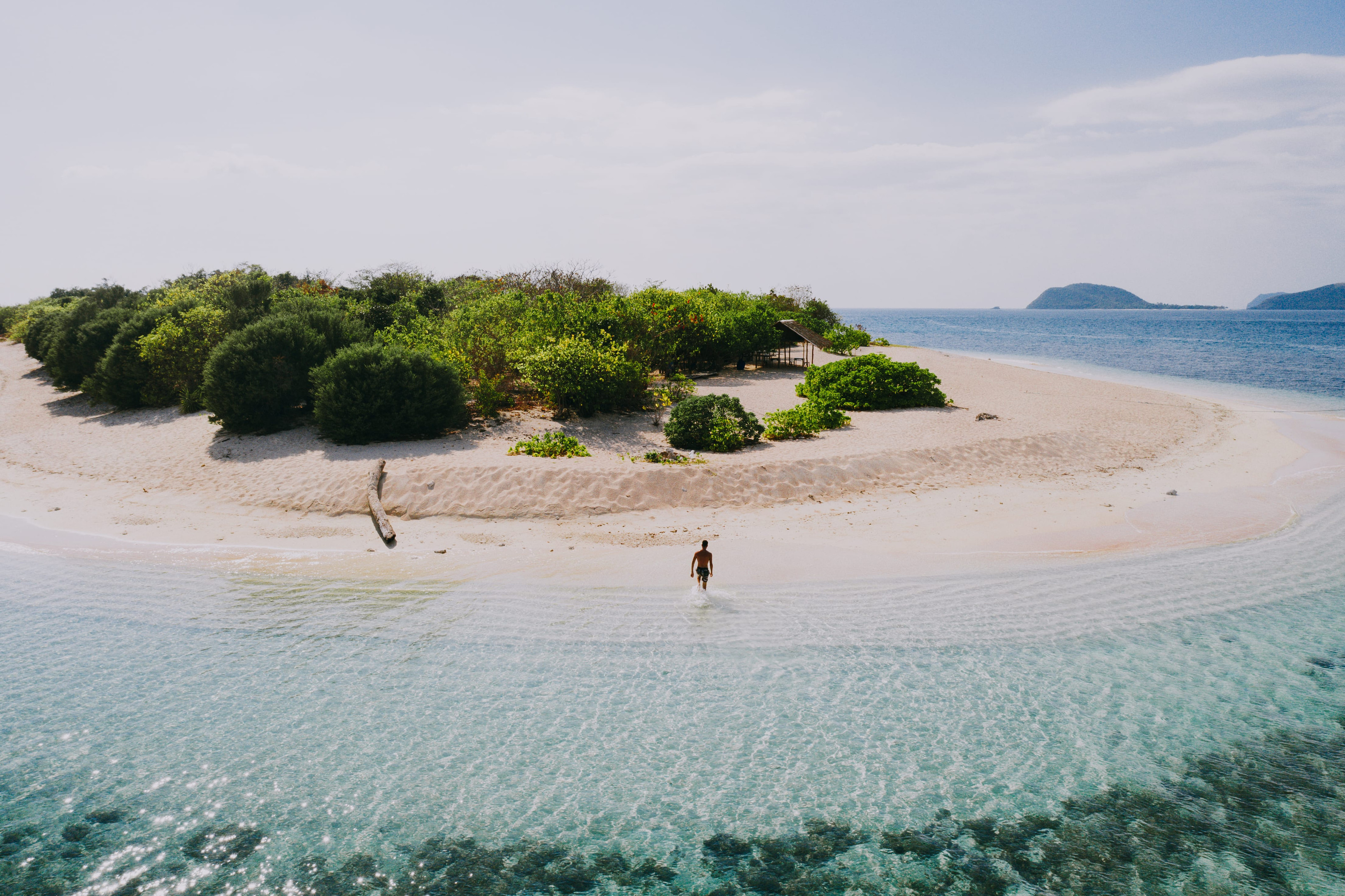 Gili Petelu
