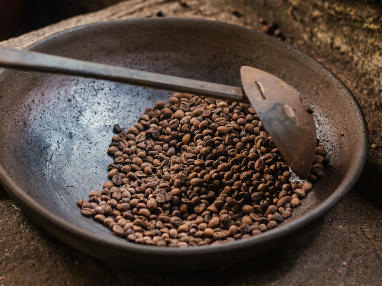 coffee plantations