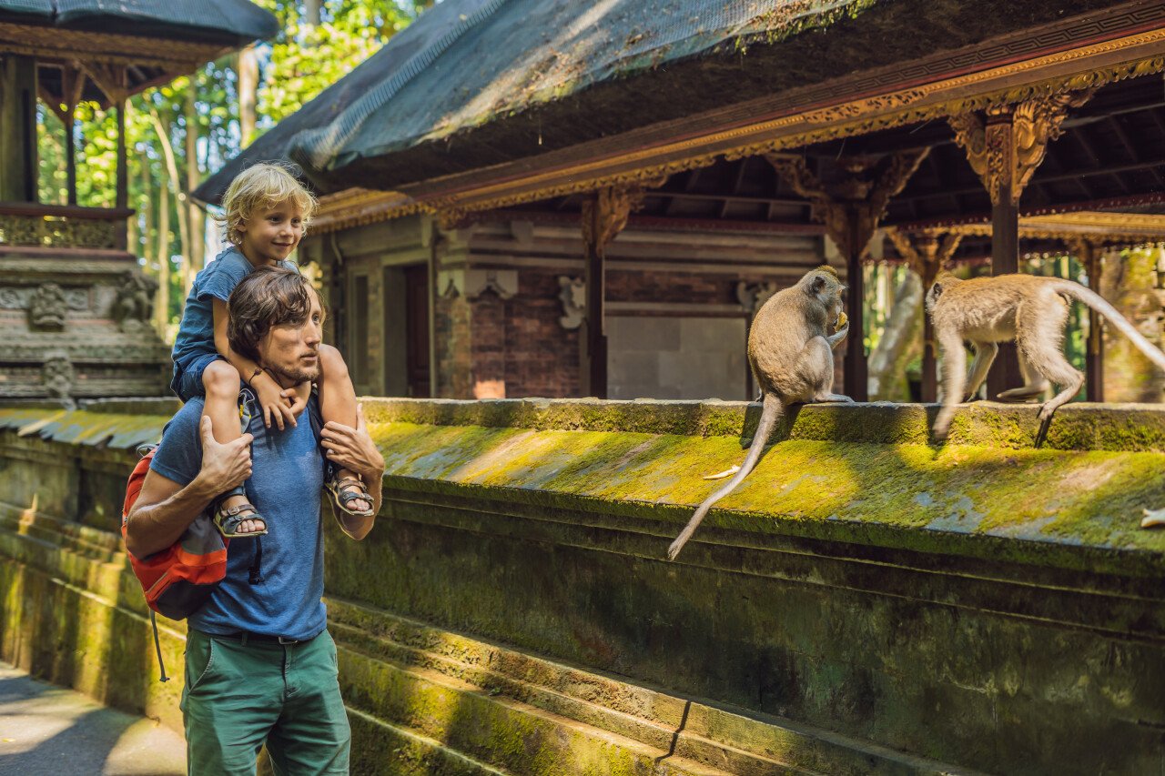 Monkey Forest
