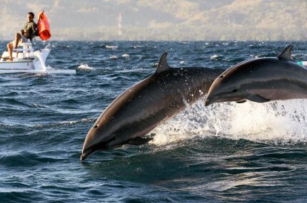 2-х дневный тур в Ловину