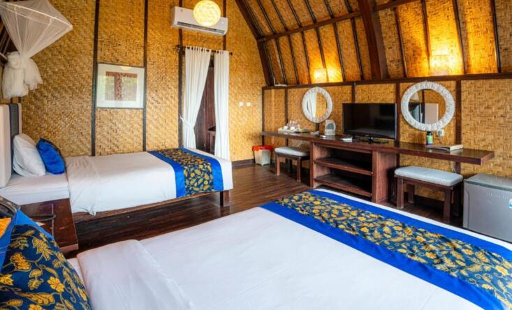 Chambre Deluxe avec 2 lits simples