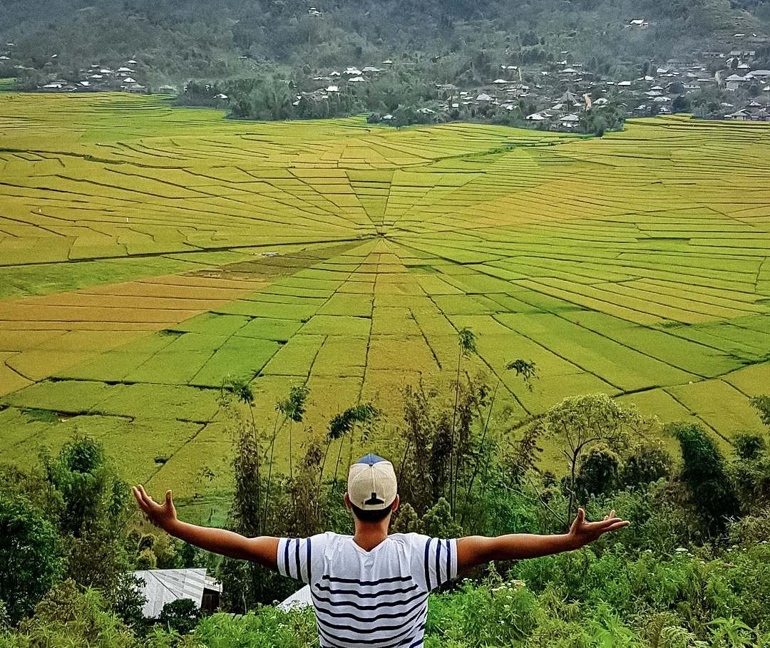 Lingko Spider Web Rice Fields