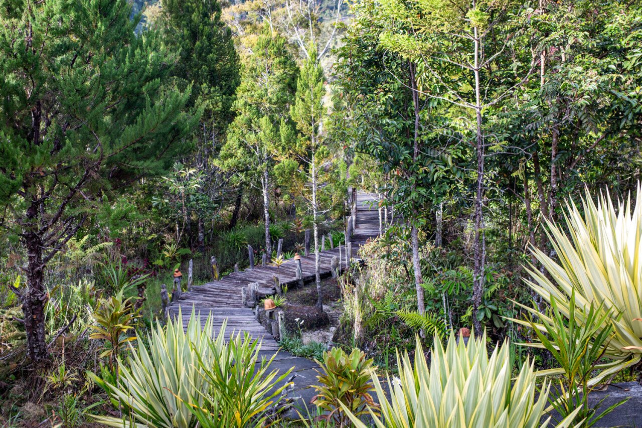 Территория отеля Baliem Valley Resort