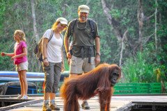 Tanjung Puting National Park Tanjung Puting National Park