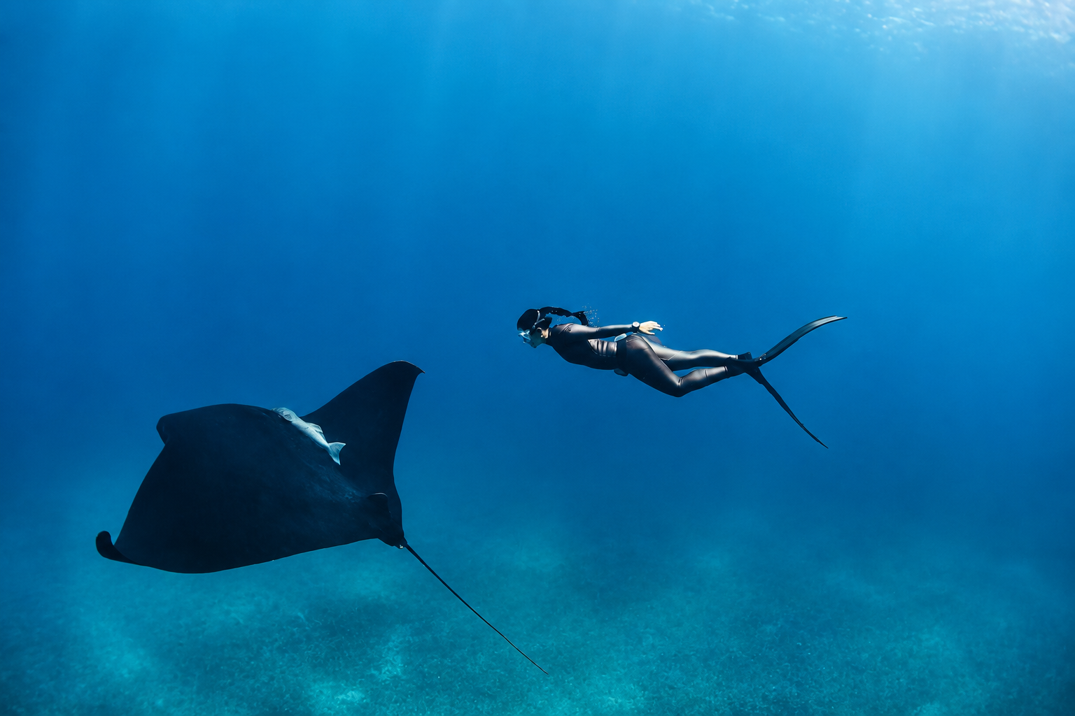 Snorkeling at Manta Point