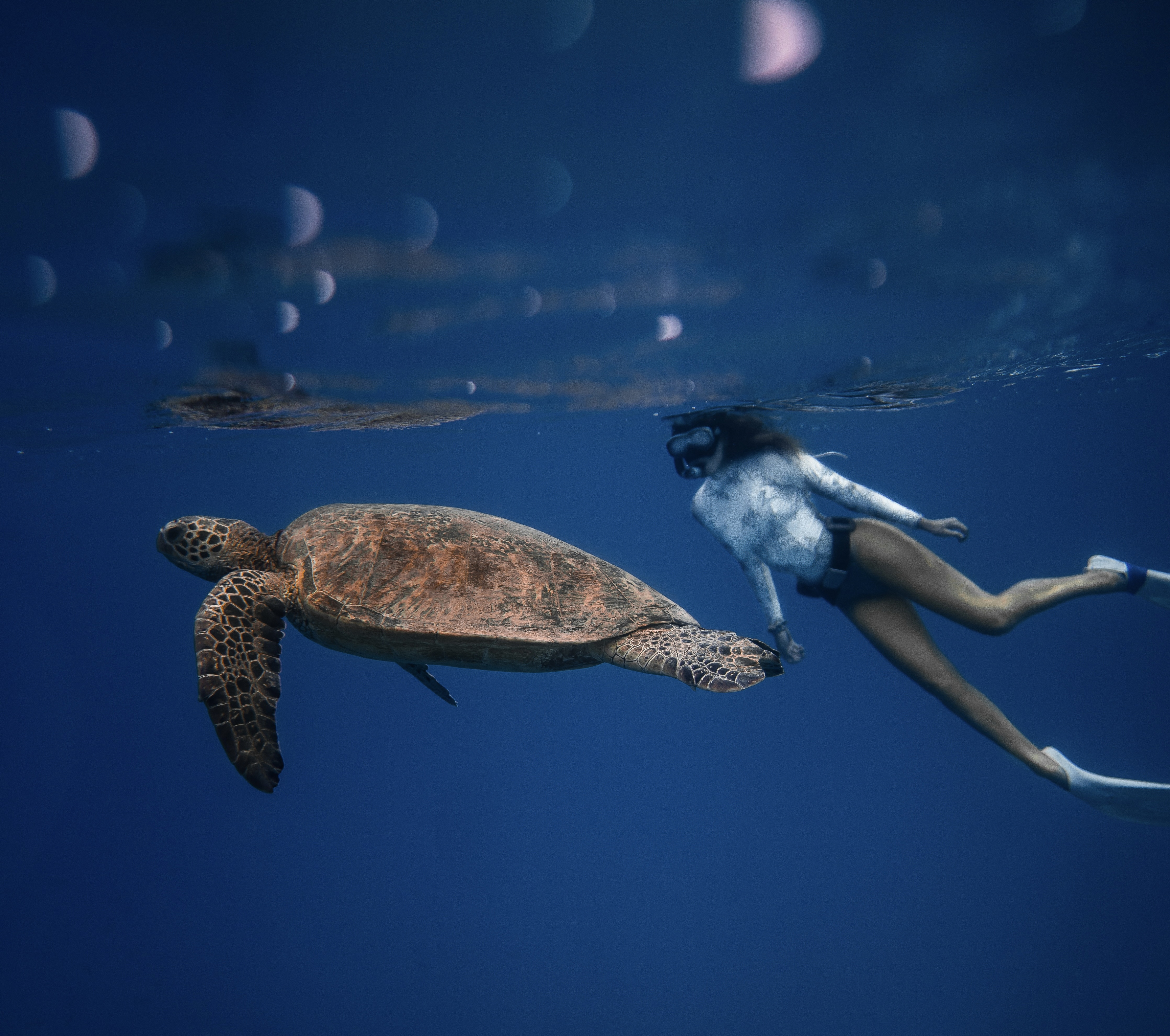 Snorkeling with a turtle