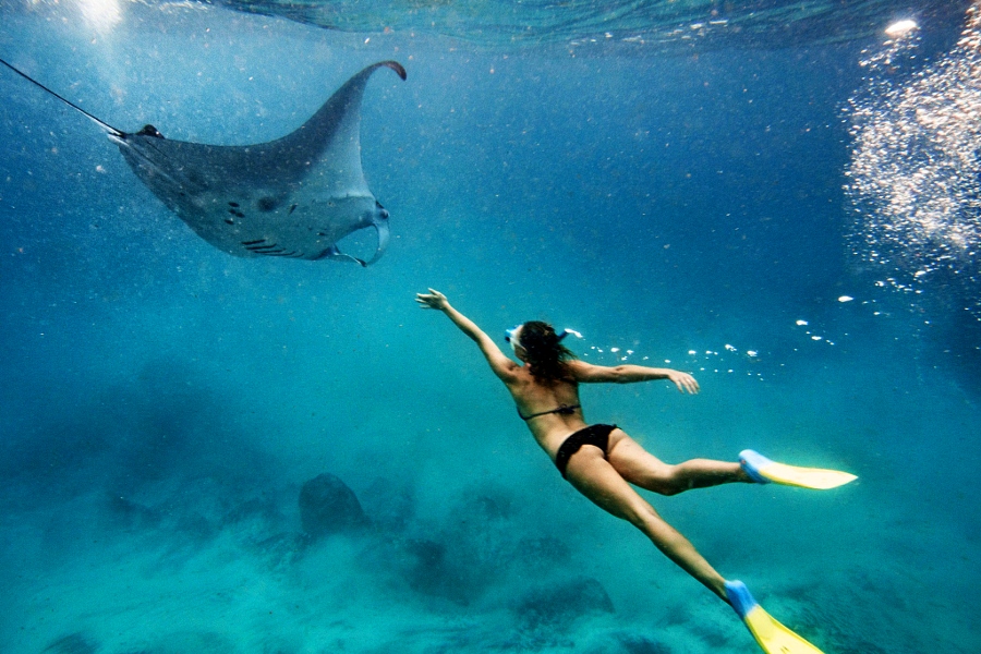 snorkeling with manta rays