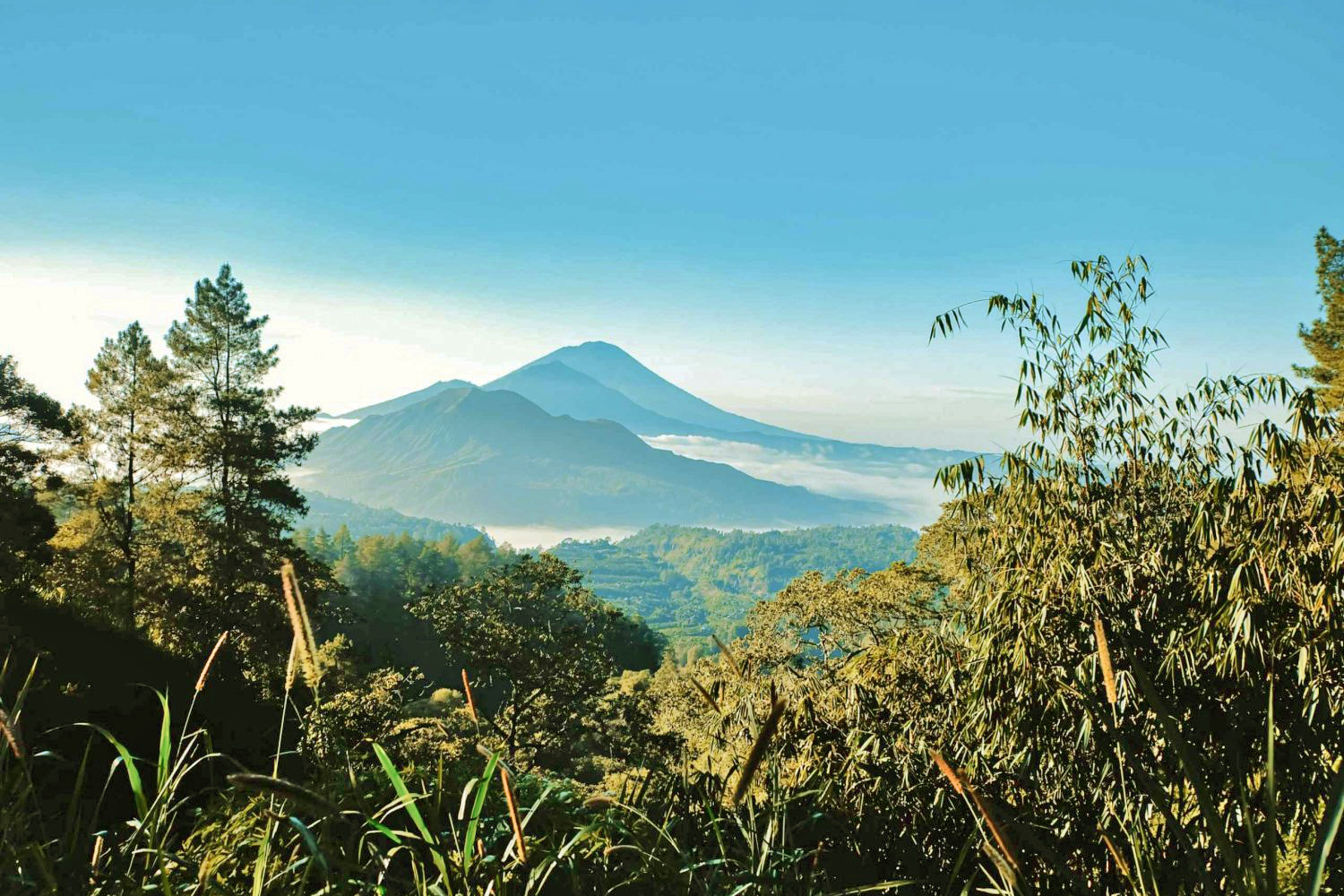 Batur