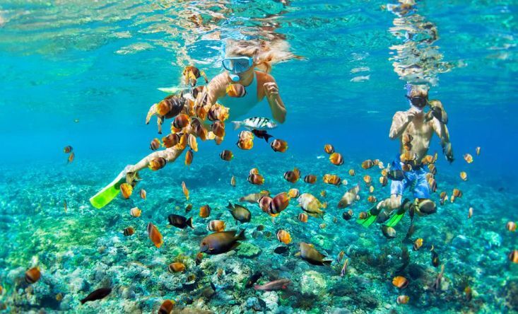 Snorkeling