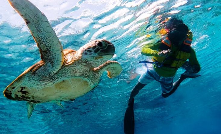 Snorkeling