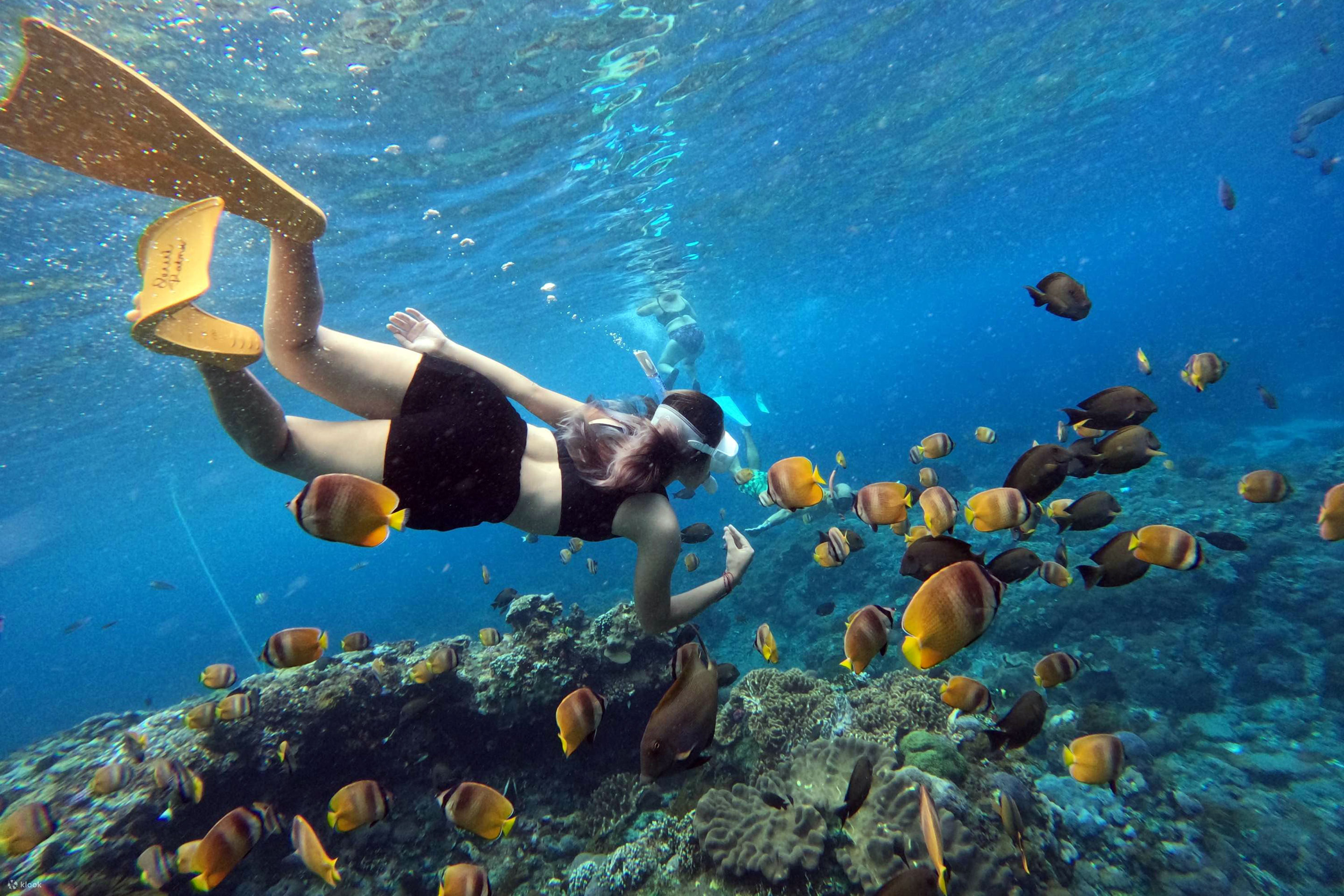 Snorkeling