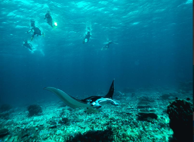 Manta Point
