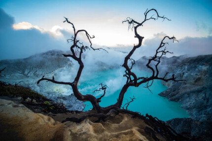 Sonnenaufgang am Ijen-Vulkan und der Märchenwald von Javatan Bengkuluk