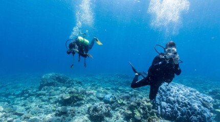 Tauchen auf Bali Tauchen auf Bali