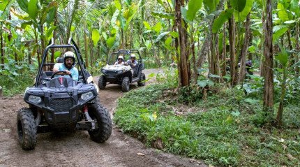 Buggy-Abenteuer Buggy-Abenteuer