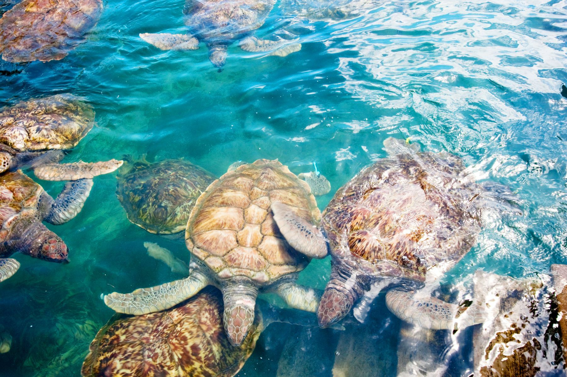 Gili Meno