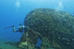 Diving Diving