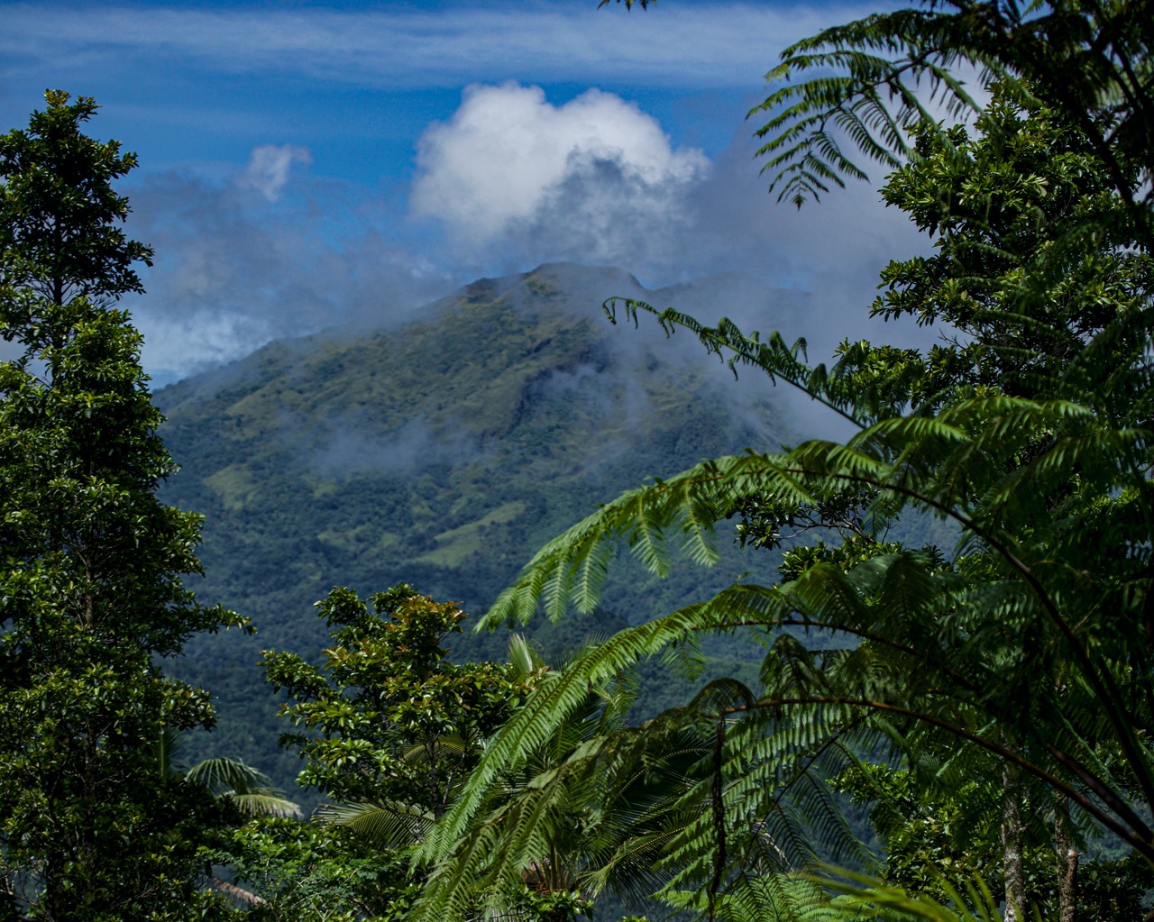 Landscapes of Sulawesi Landscapes of Sulawesi