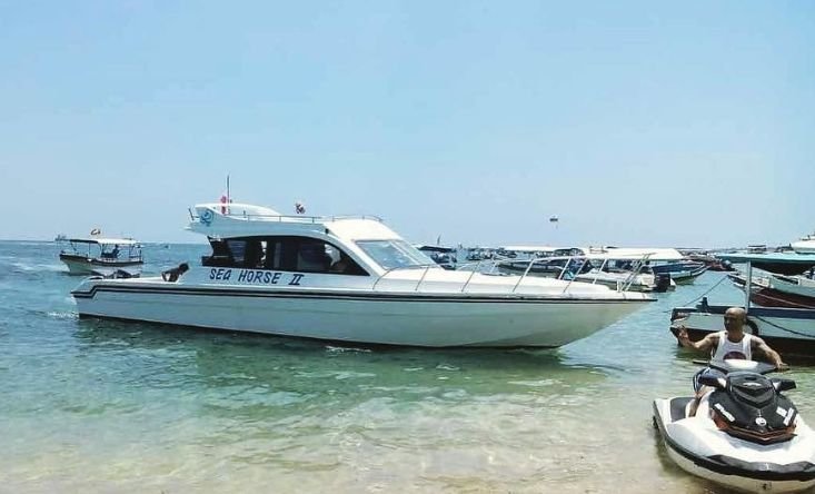Seahorse II yacht