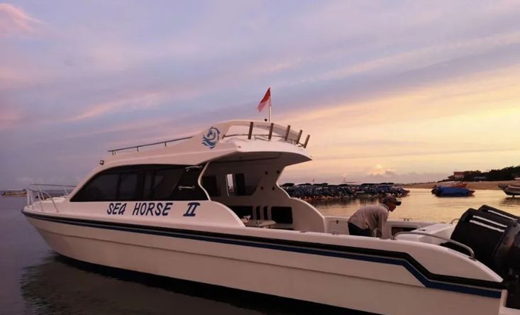 Seahorse II yacht
