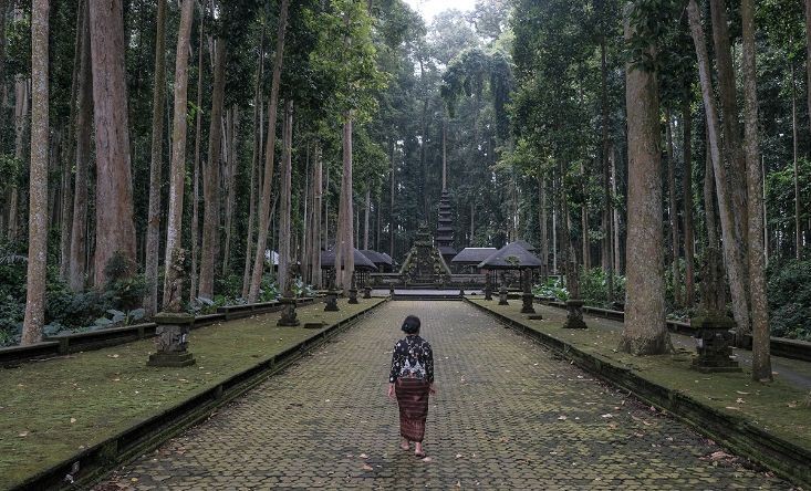 Taman Mumbul Sangeh Park