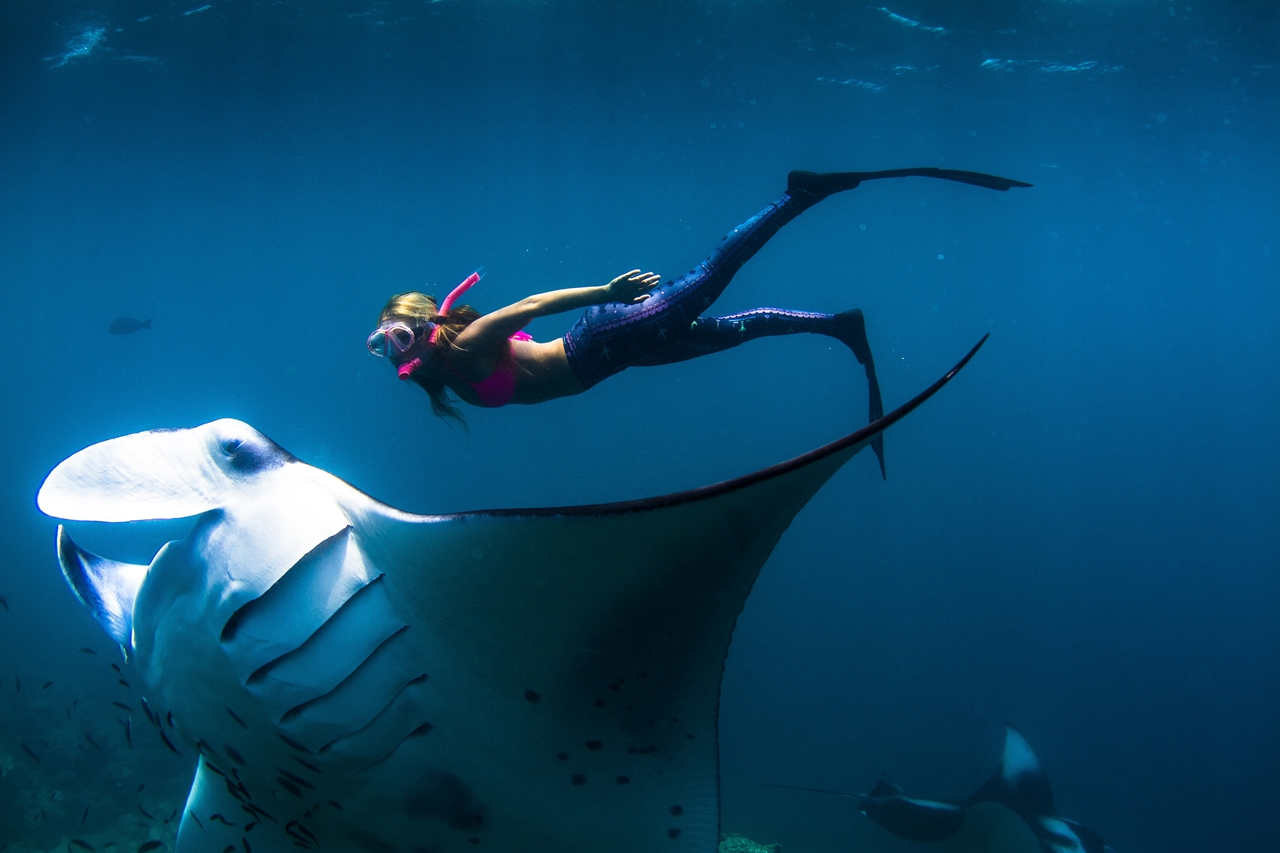 Snorkeling avec les raies manta