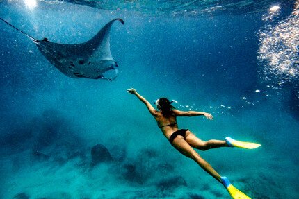 Snorkeling avec les raies manta à Nusa Penida Snorkeling avec les raies manta à Nusa Penida