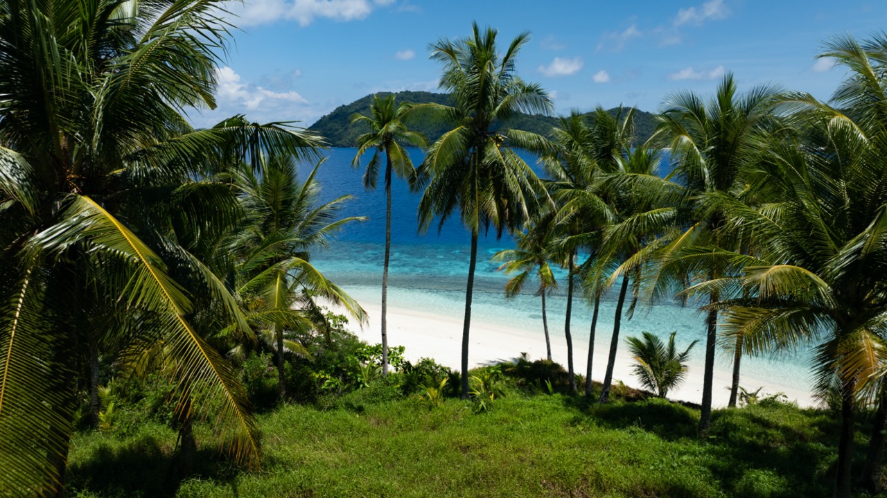 îles Sangihe