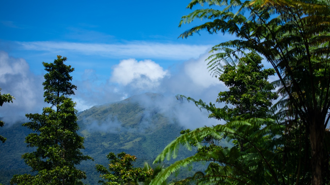 Montagnes Sulawesi
