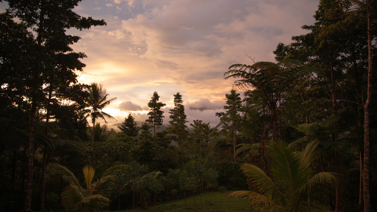Nature de Sulawesi