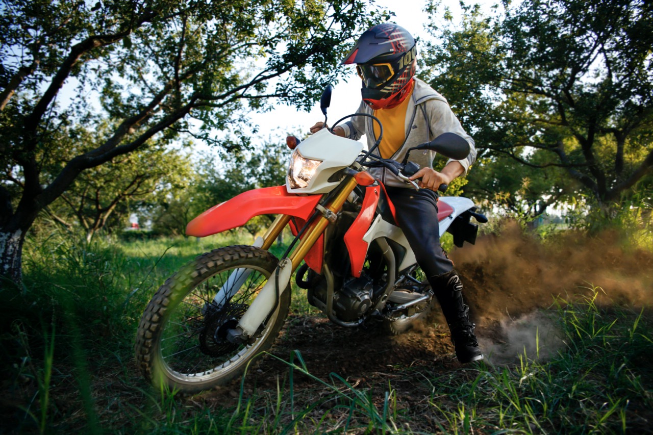 Enduro dans la jungle Enduro dans la jungle
