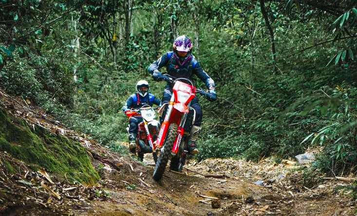 Enduro dans la jungle