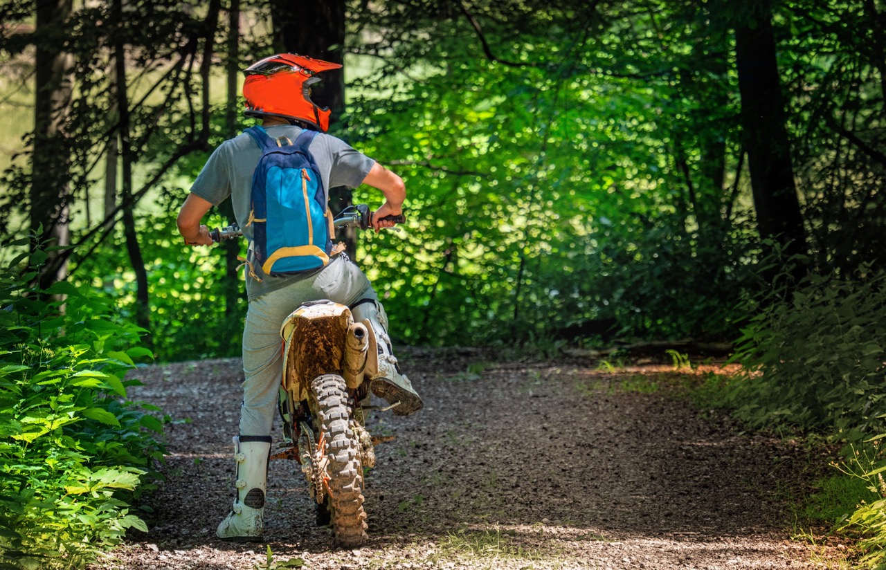 Enduro in the secret forest