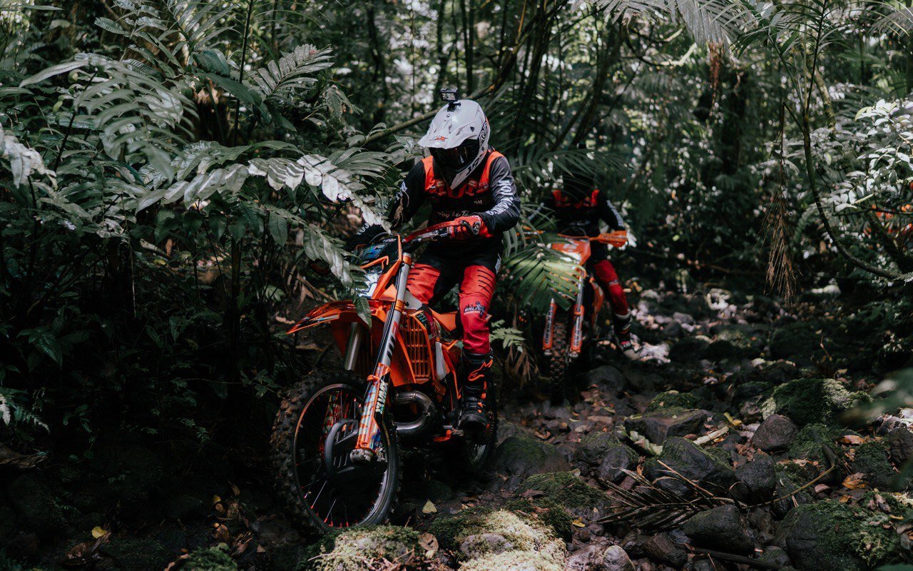Enduro in the secret forest