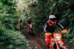 Enduro dans la forêt secrète Enduro dans la forêt secrète
