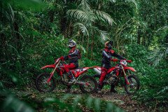 Enduro dans la forêt secrète Enduro dans la forêt secrète