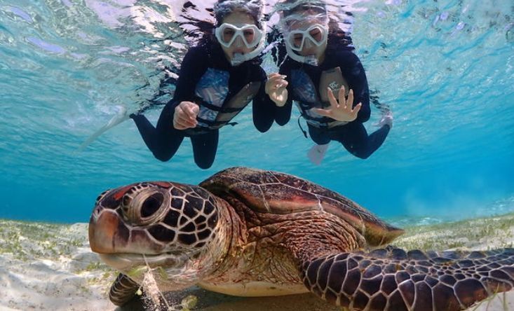 snorkeling