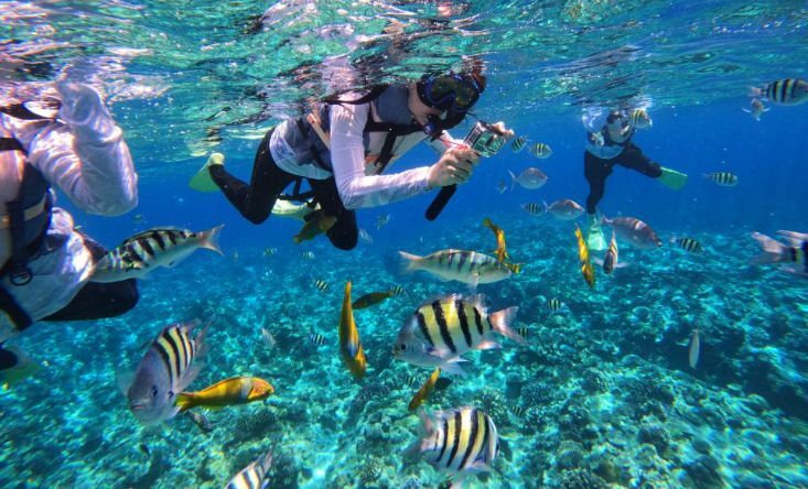 snorkeling