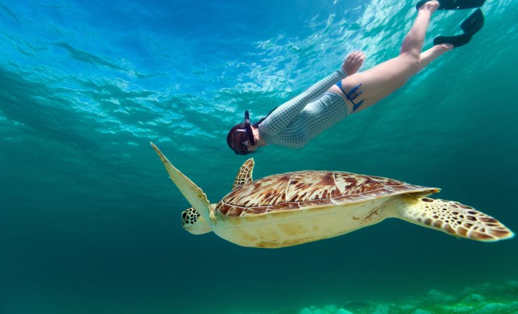 snorkeling