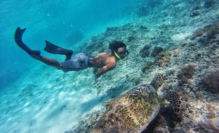 snorkeling