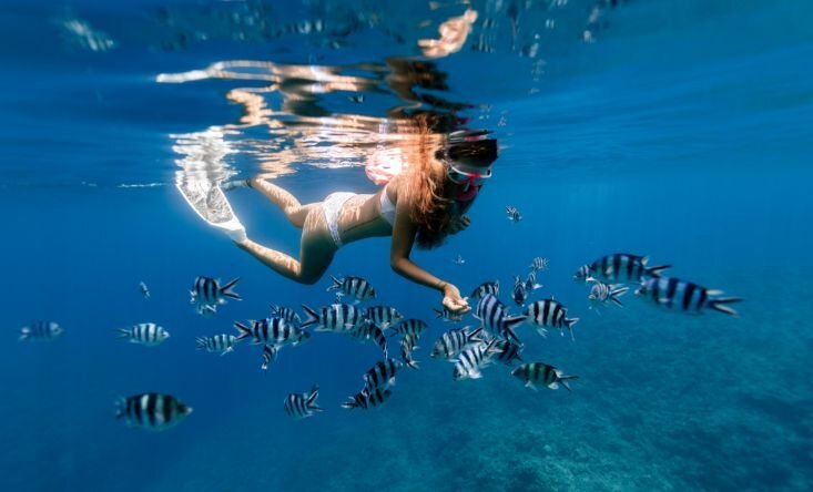 Snorkeling Manta Bay