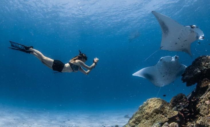 Snorkeling Manta Bay