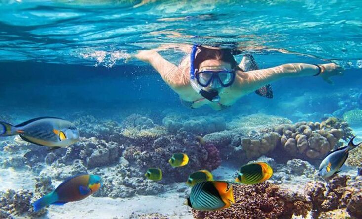 Snorkeling