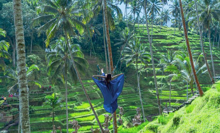 photo Super extreme rope swings, skybike, and tea break 2