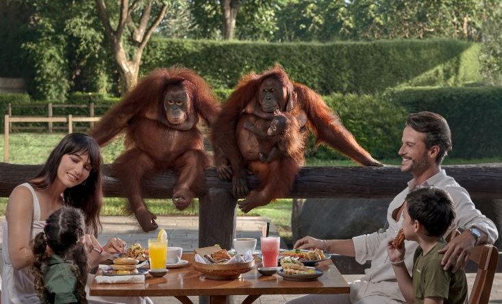 photo Breakfast with Orangutan & Elephant Expedition 1