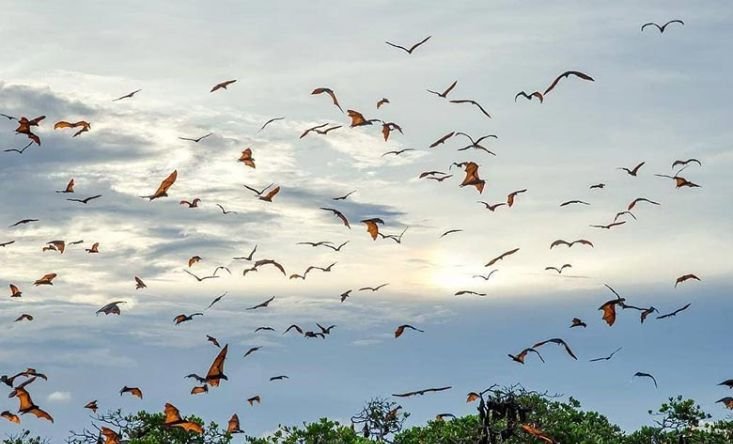 photo Yacht Kaia Explorer Sunset cruise 10