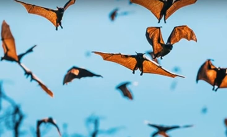 photo Yacht Kaia Explorer Sunset cruise 9