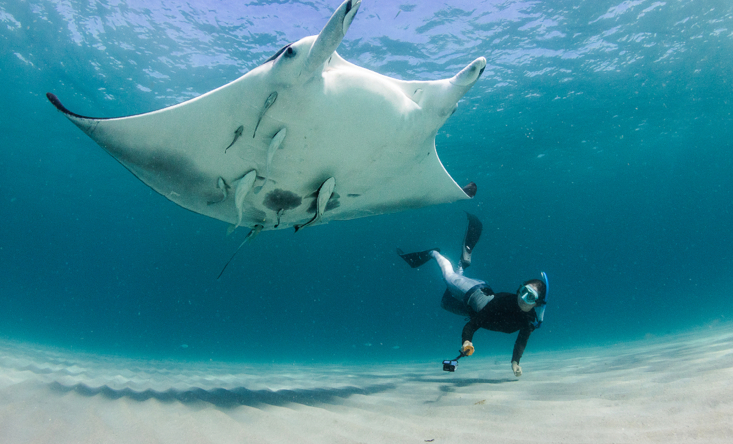 photo Open trip Komodo - Lombok Islands by Eastopia boat 4 days/ 3 nights 11