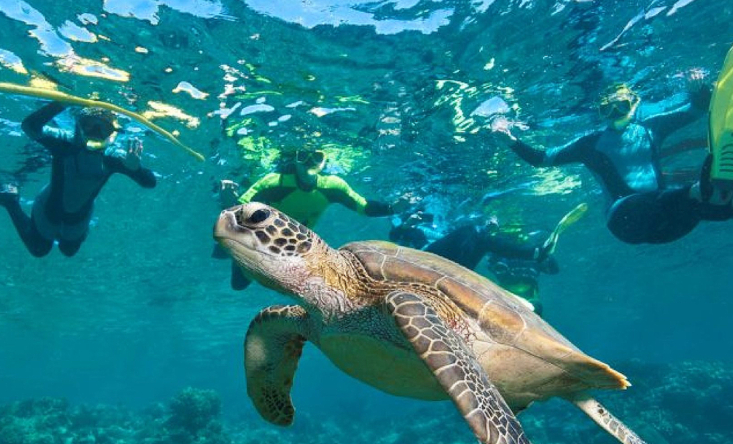 photo Open trip Komodo - Lombok Islands by Eastopia boat 4 days/ 3 nights 9